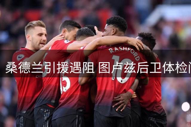 桑德兰引援遇阻 图卢兹后卫体检问题或致转会流产